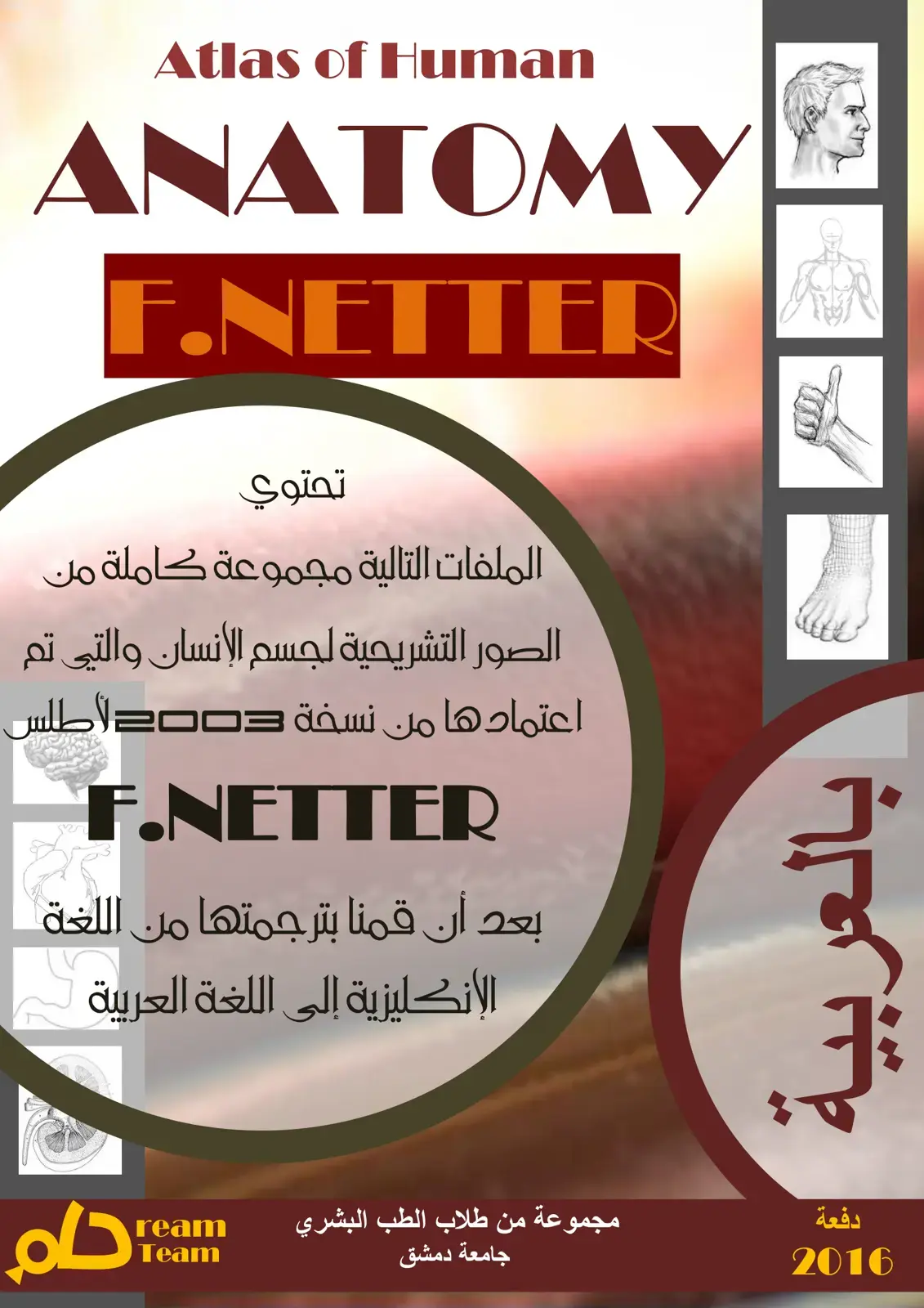 غلاف كتاب Atlas of Human ANATOMY F.NETTER بالعربية