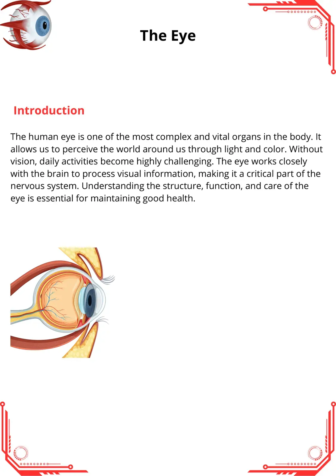 غلاف كتاب The Eye