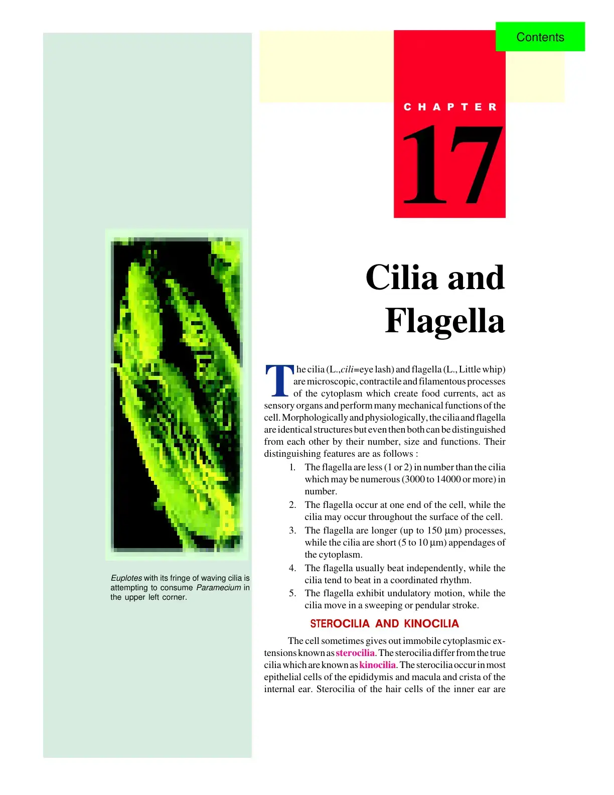 غلاف كتاب Cilia and Flagella