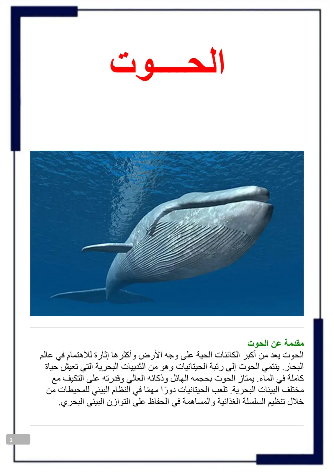 غلاف كتاب الحوت