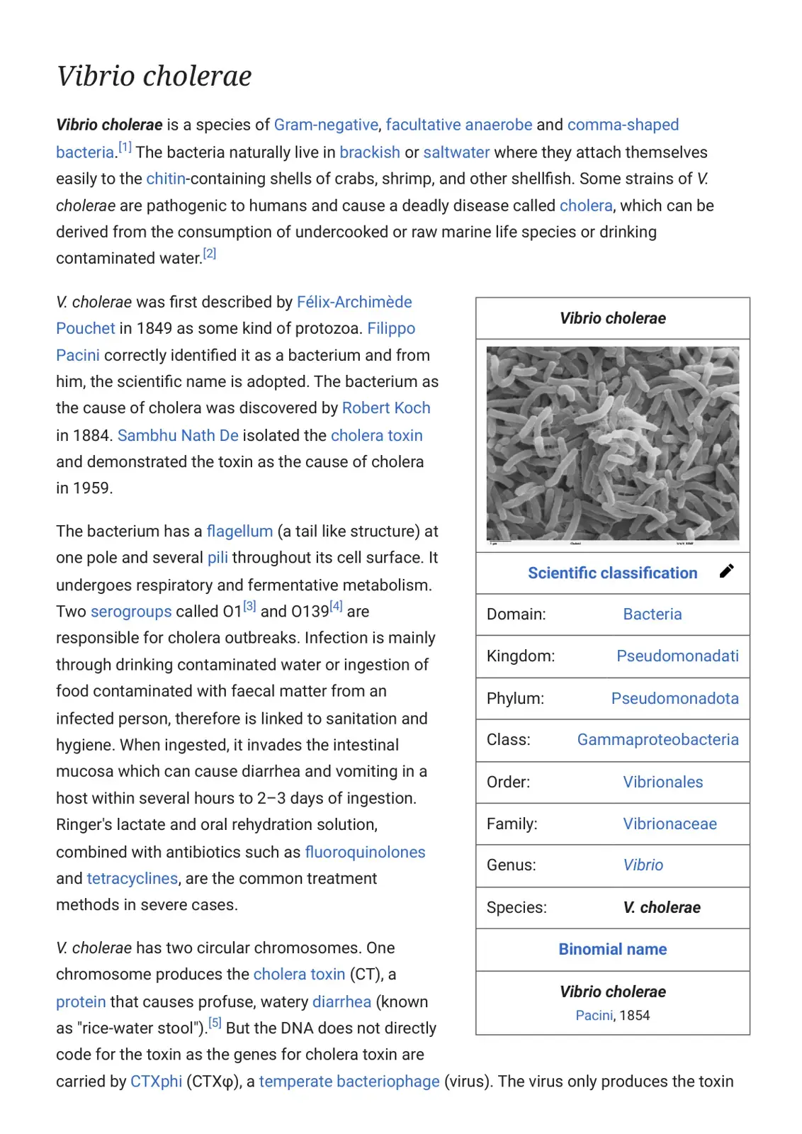 غلاف كتاب Vibrio cholerae