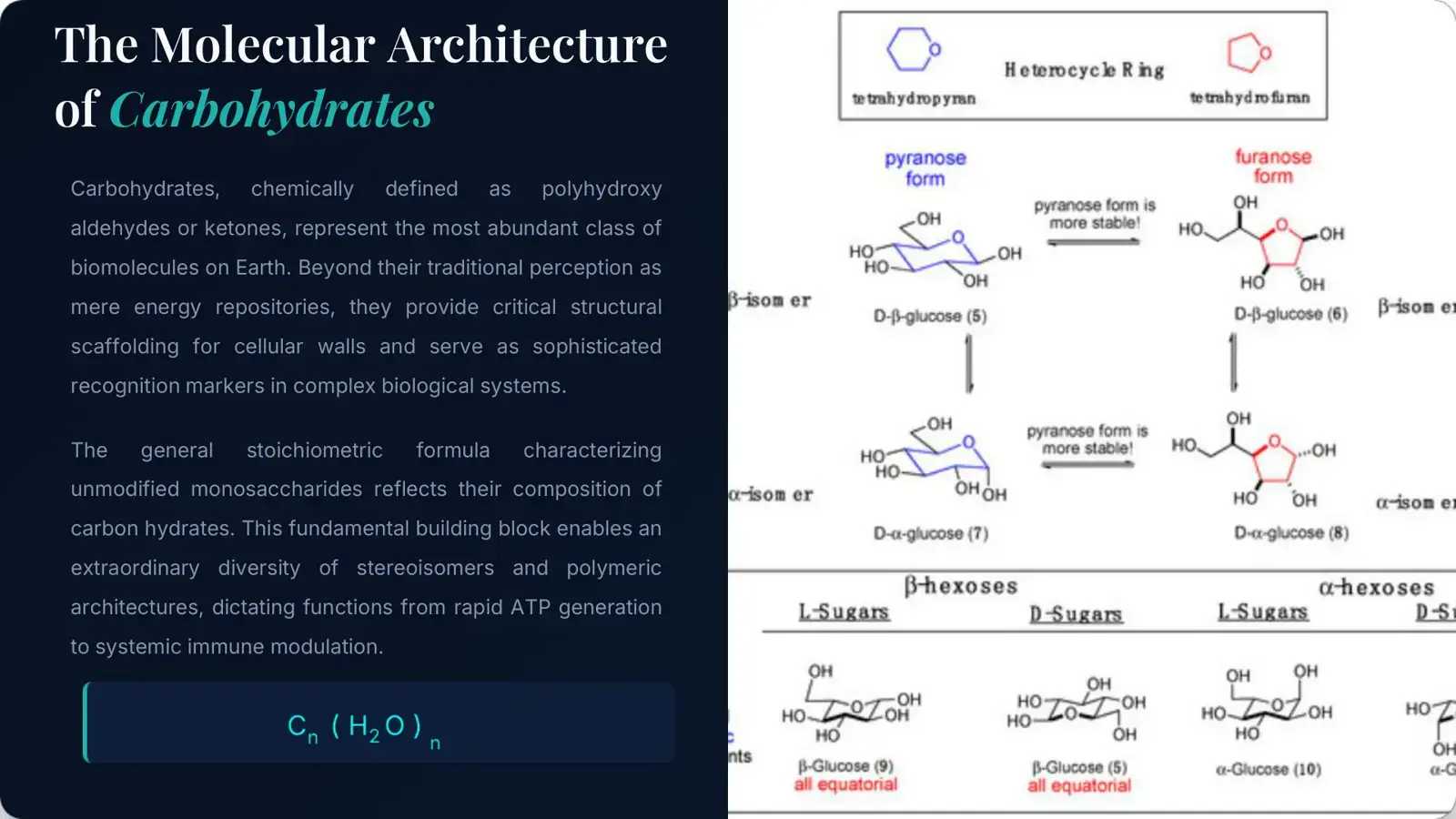 غلاف كتاب The Molecular Architecture of Carbohydrates