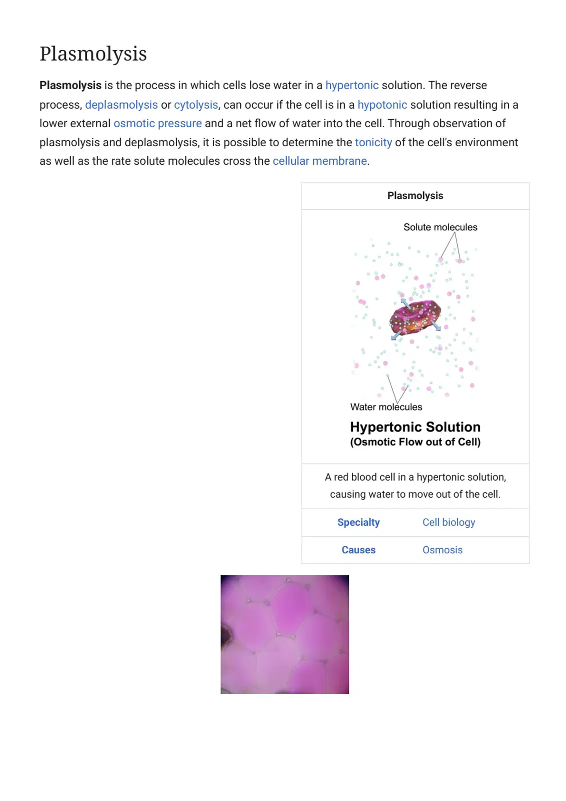 غلاف كتاب Plasmolysis