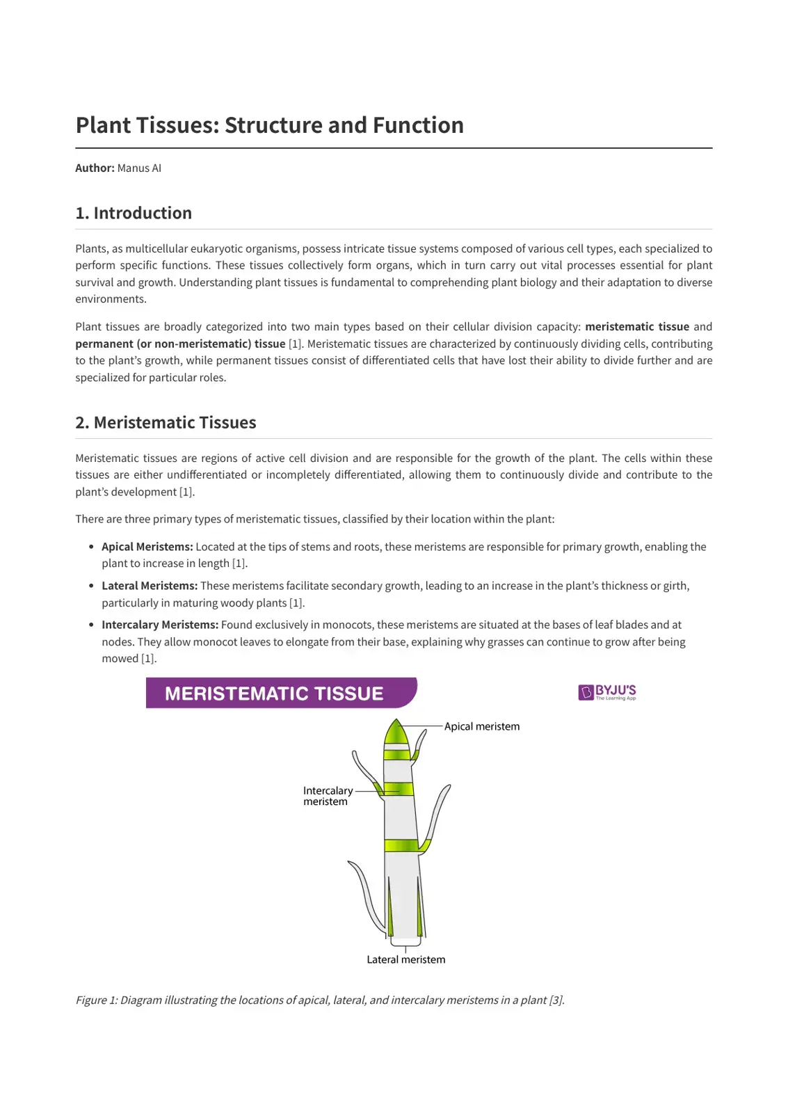 غلاف كتاب Plant Tissues: Structure and Function