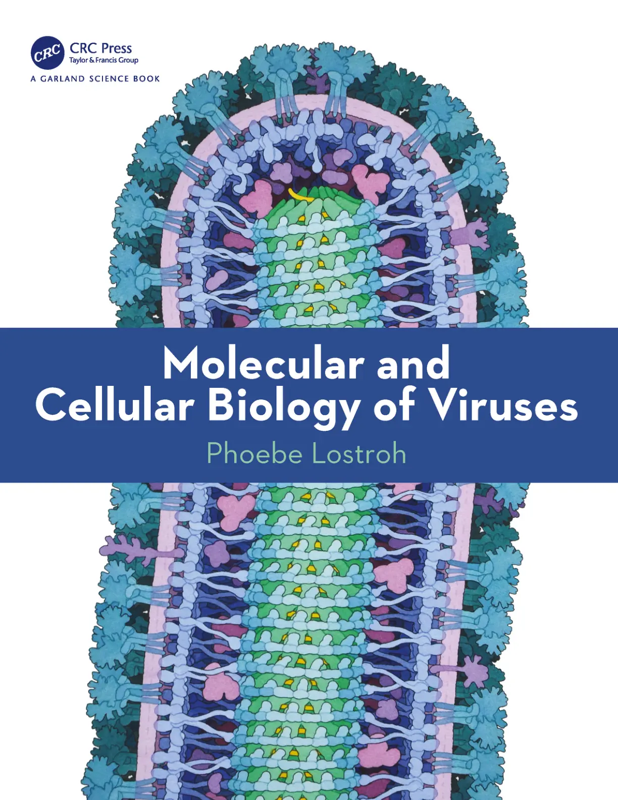 غلاف كتاب A GARLAND SCIENCE BOOK
Molecular and
Cellular Biology of Viruses