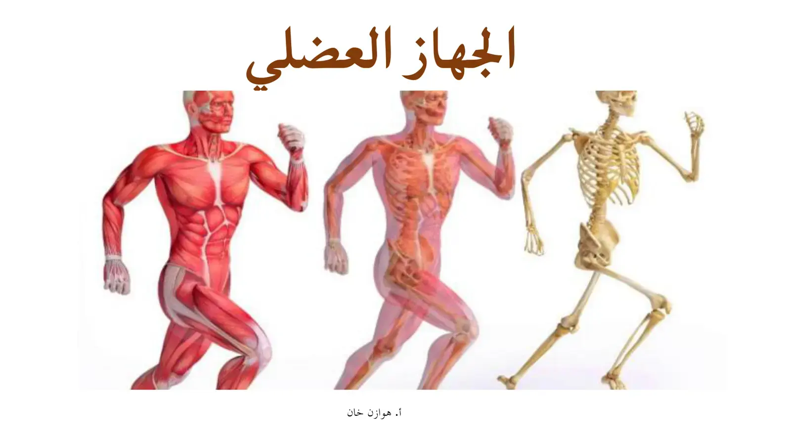 غلاف كتاب الجهاز العضلي