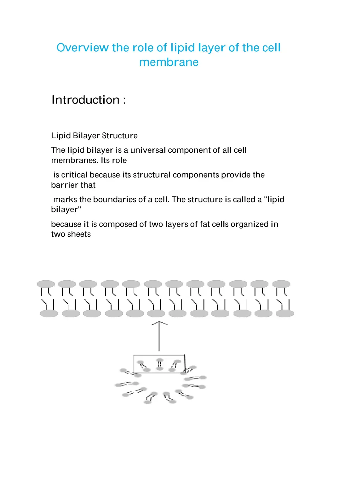 غلاف كتاب Overview the Role of Lipid Layer of the Cell Membrane