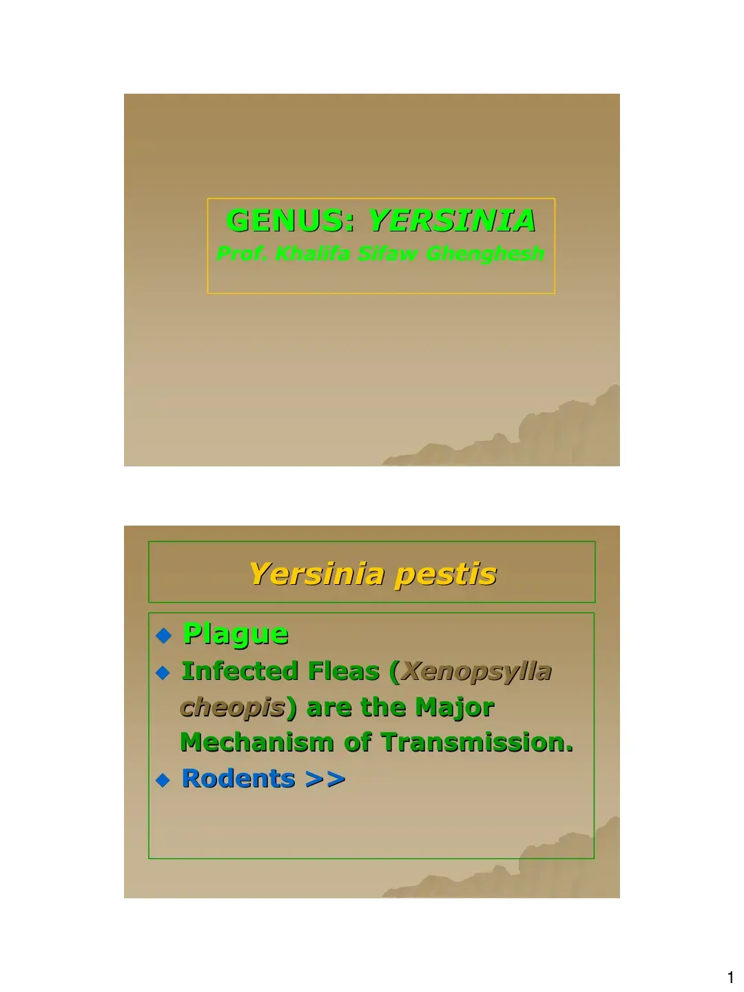 غلاف كتاب GENUS: YERSINIA