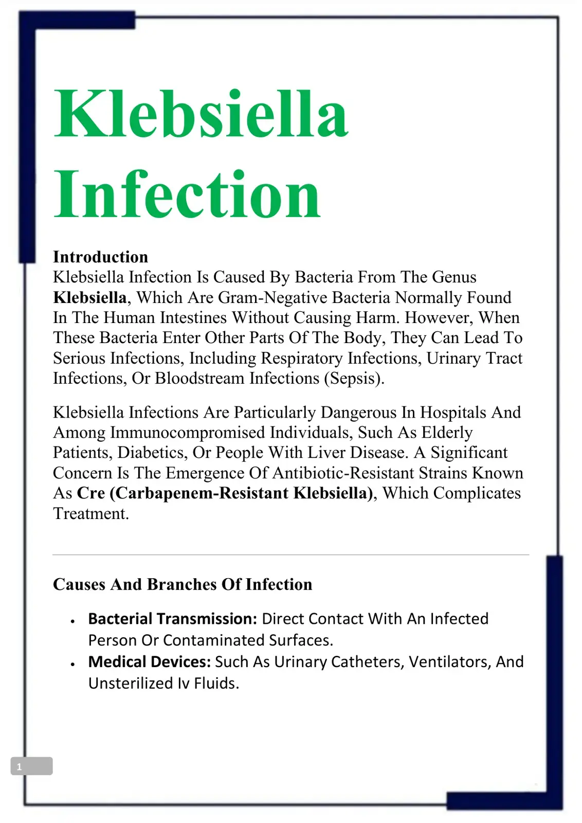 غلاف كتاب Klebsiella Infection