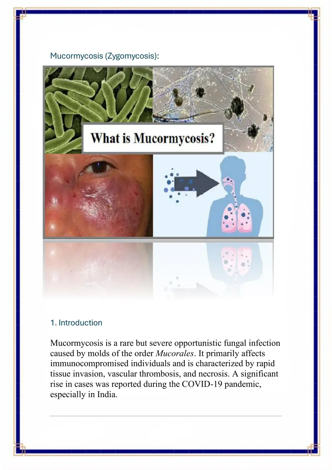 غلاف كتاب Mucormycosis (Zygomycosis): What is Mucormycosis?