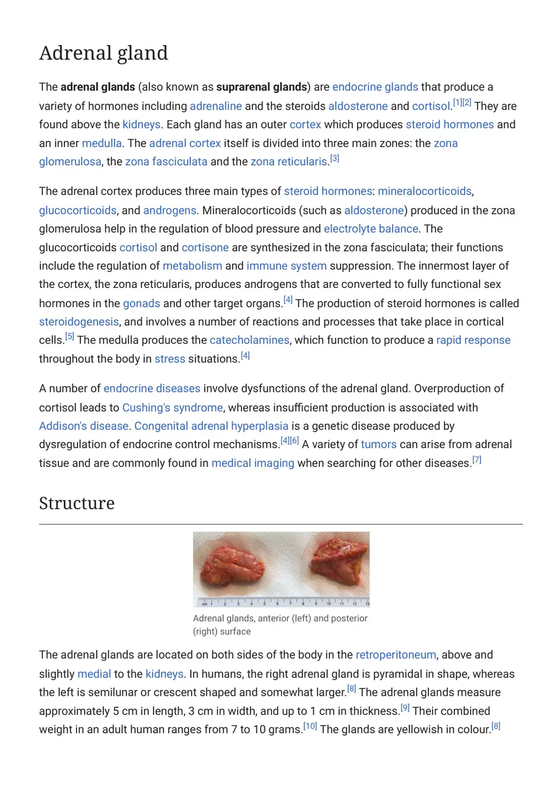 غلاف كتاب Adrenal gland