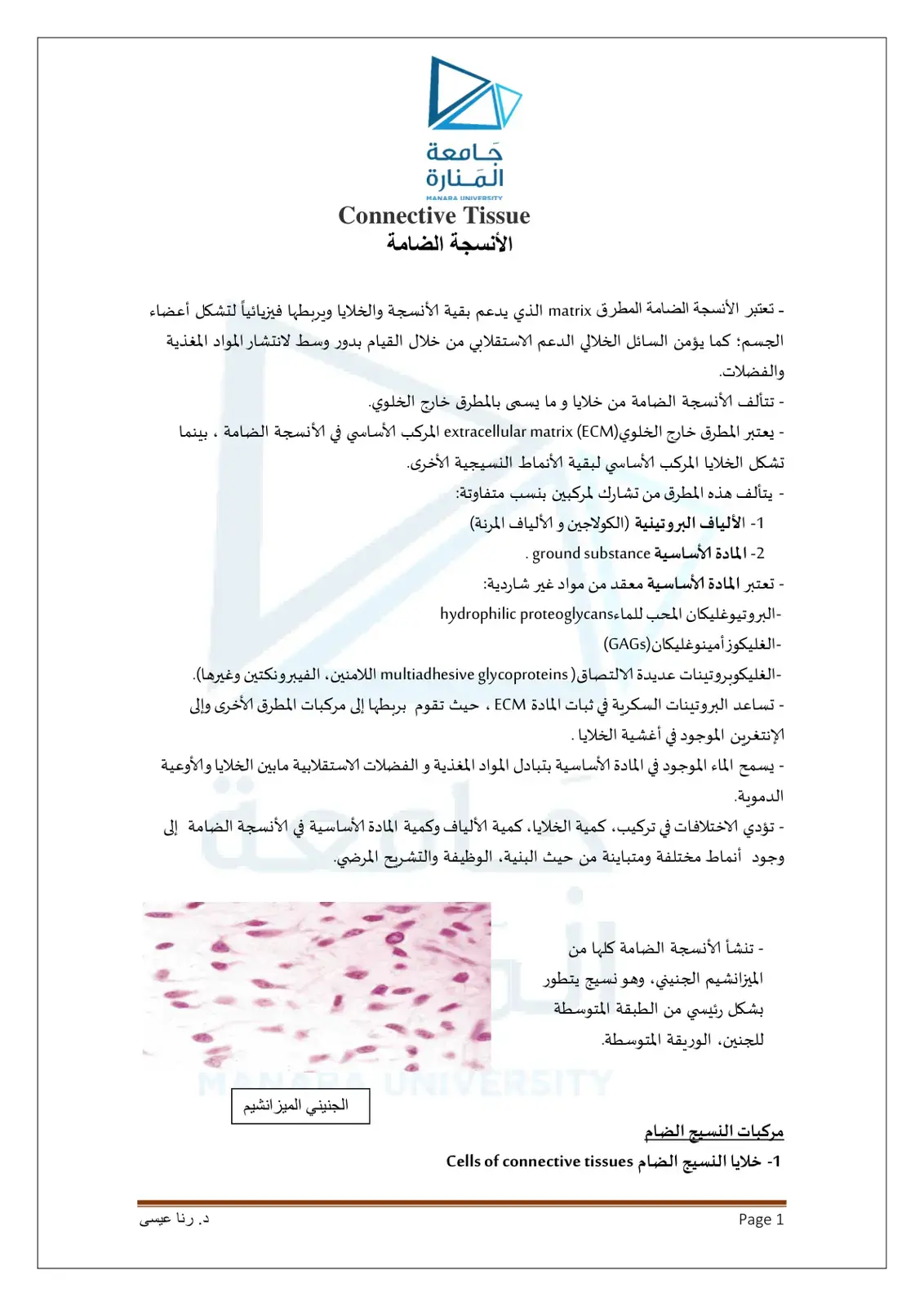 غلاف كتاب Connective Tissue – الأنسجة الضامة