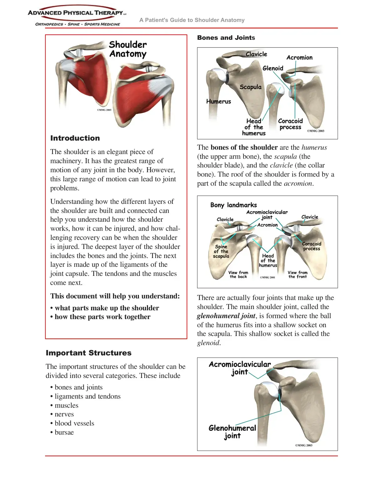 غلاف كتاب A Patient's Guide to Shoulder Anatomy
