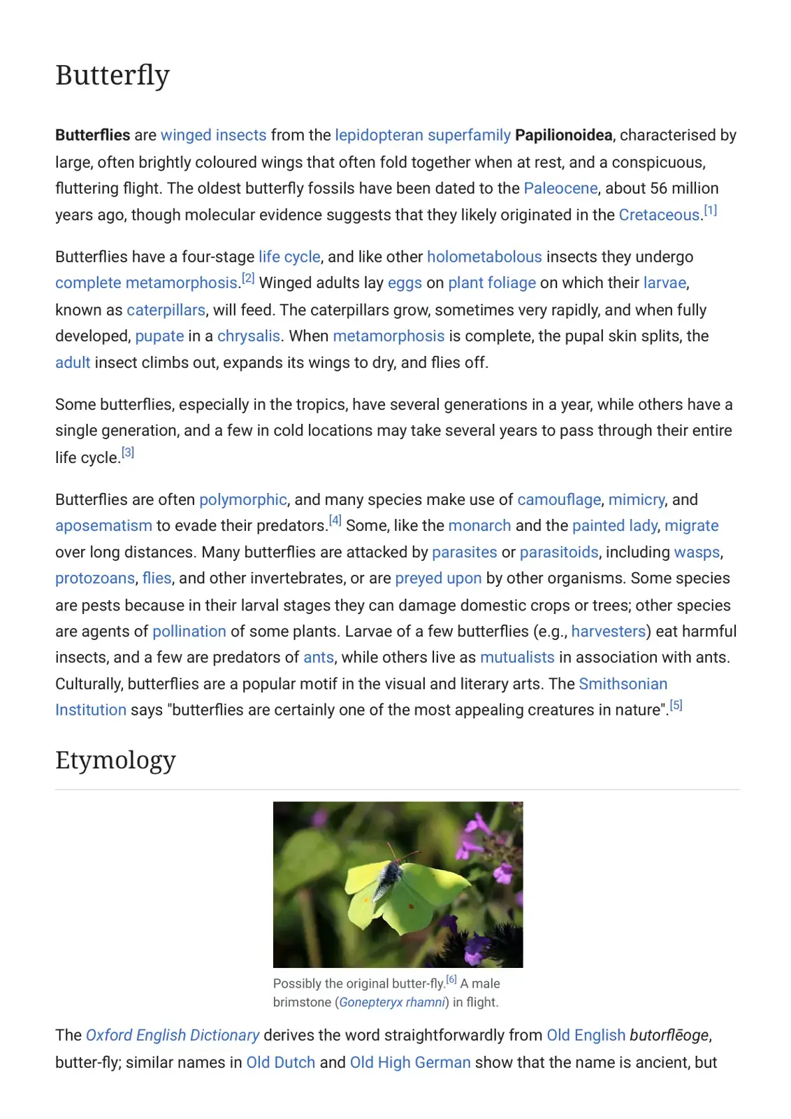 غلاف كتاب Butterfly