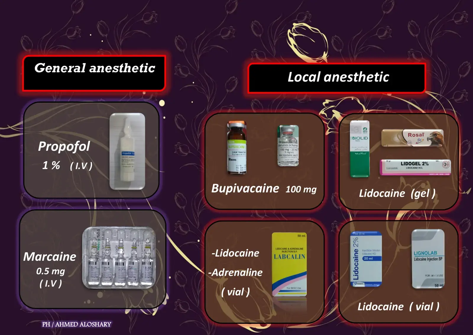 غلاف كتاب General Anesthetic: Propofol, Marcaine, Bupivacaine, Lidocaine