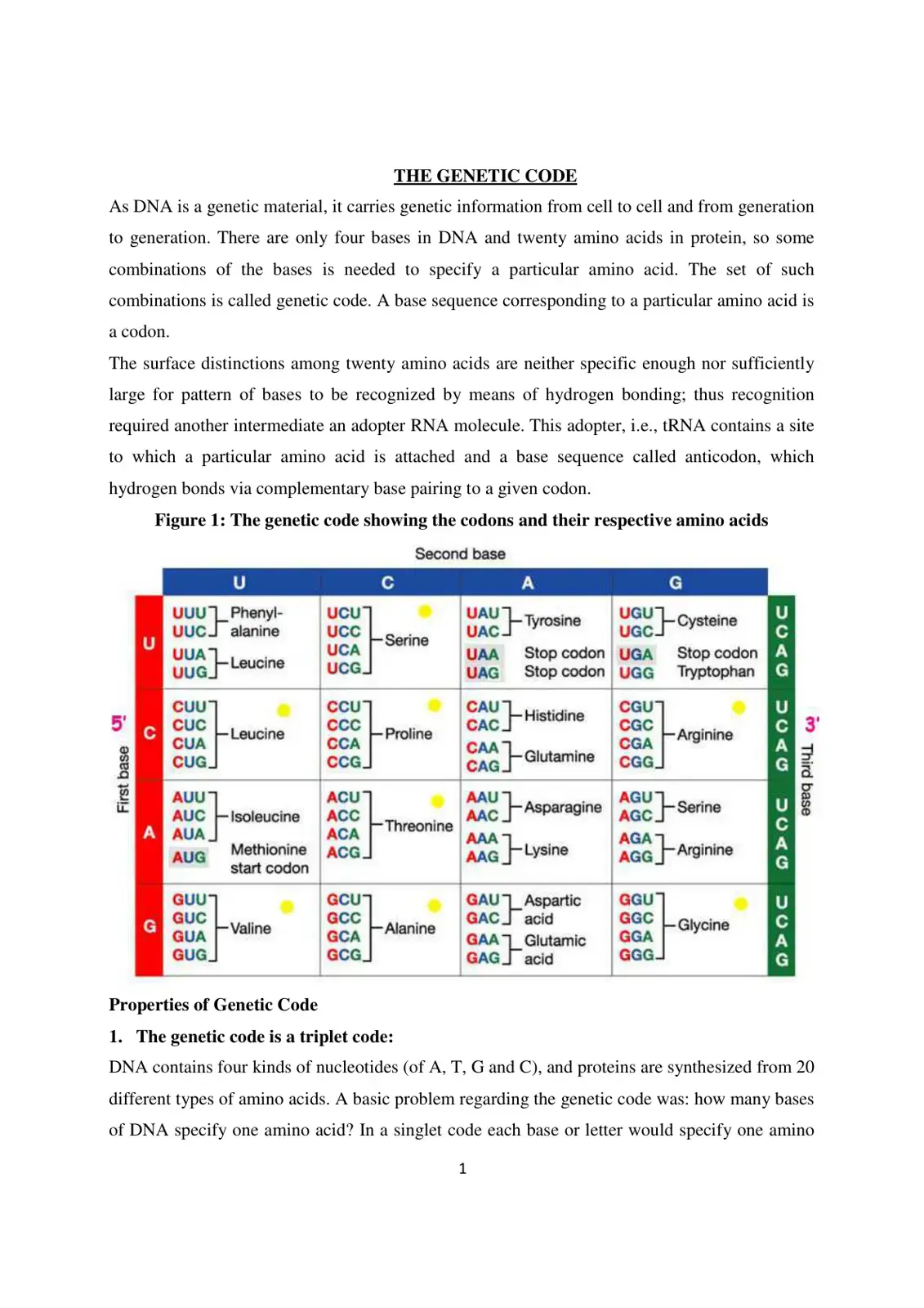 غلاف كتاب First base! THE GENETIC CODE