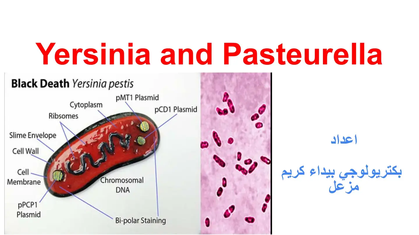 غلاف كتاب Yersinia and Pasteurella