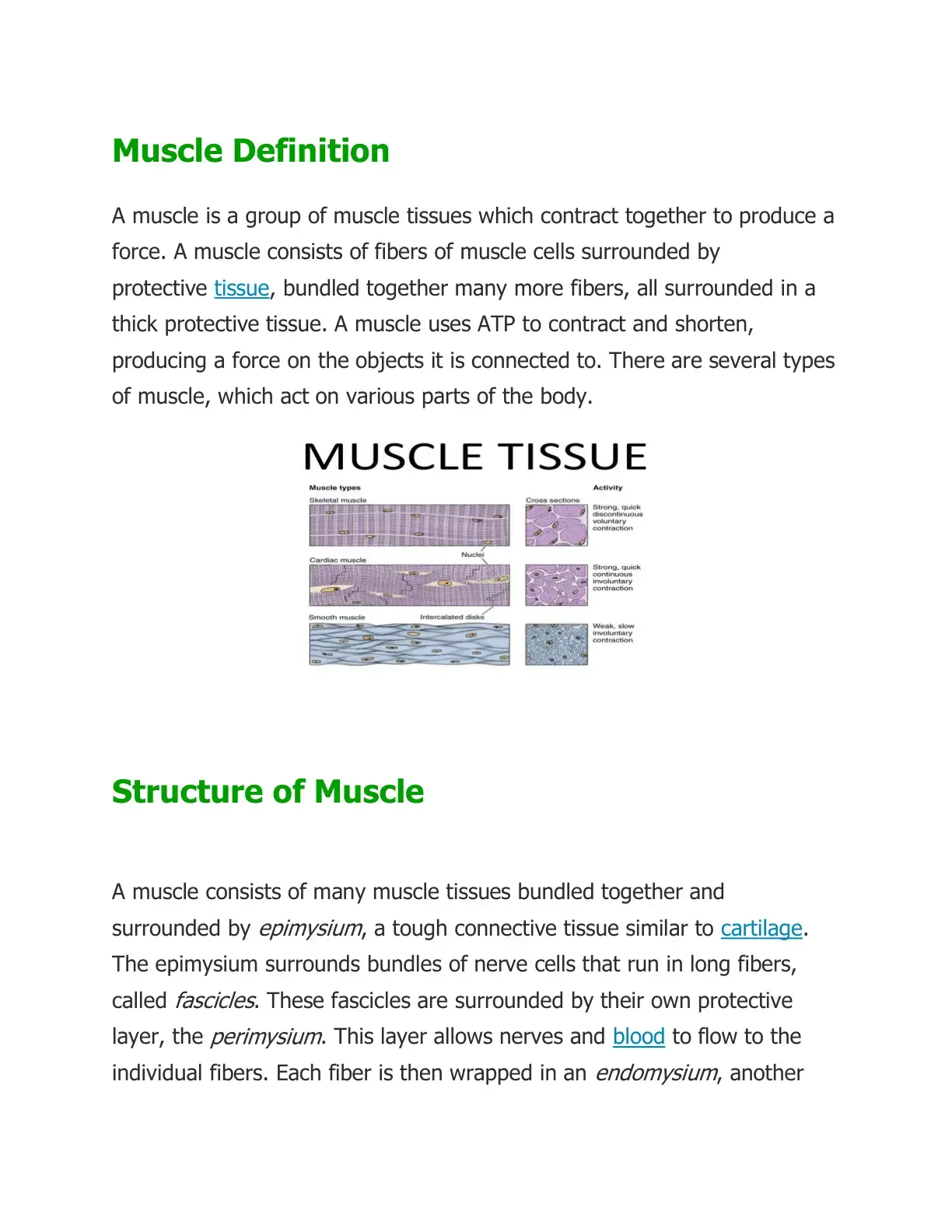 غلاف كتاب Muscle Definition and Tissue Types