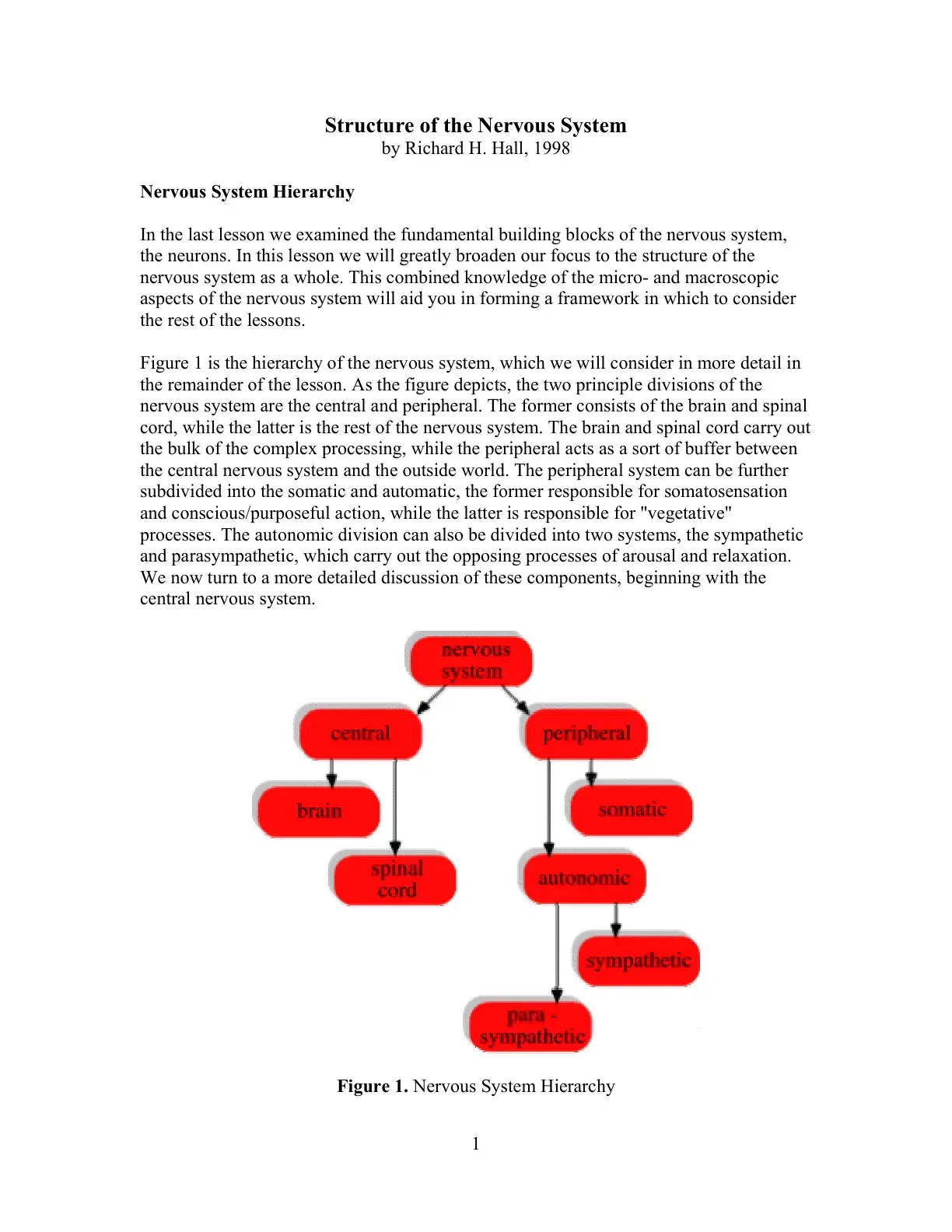 غلاف كتاب Structure of the Nervous System: Nervous System Hierarchy