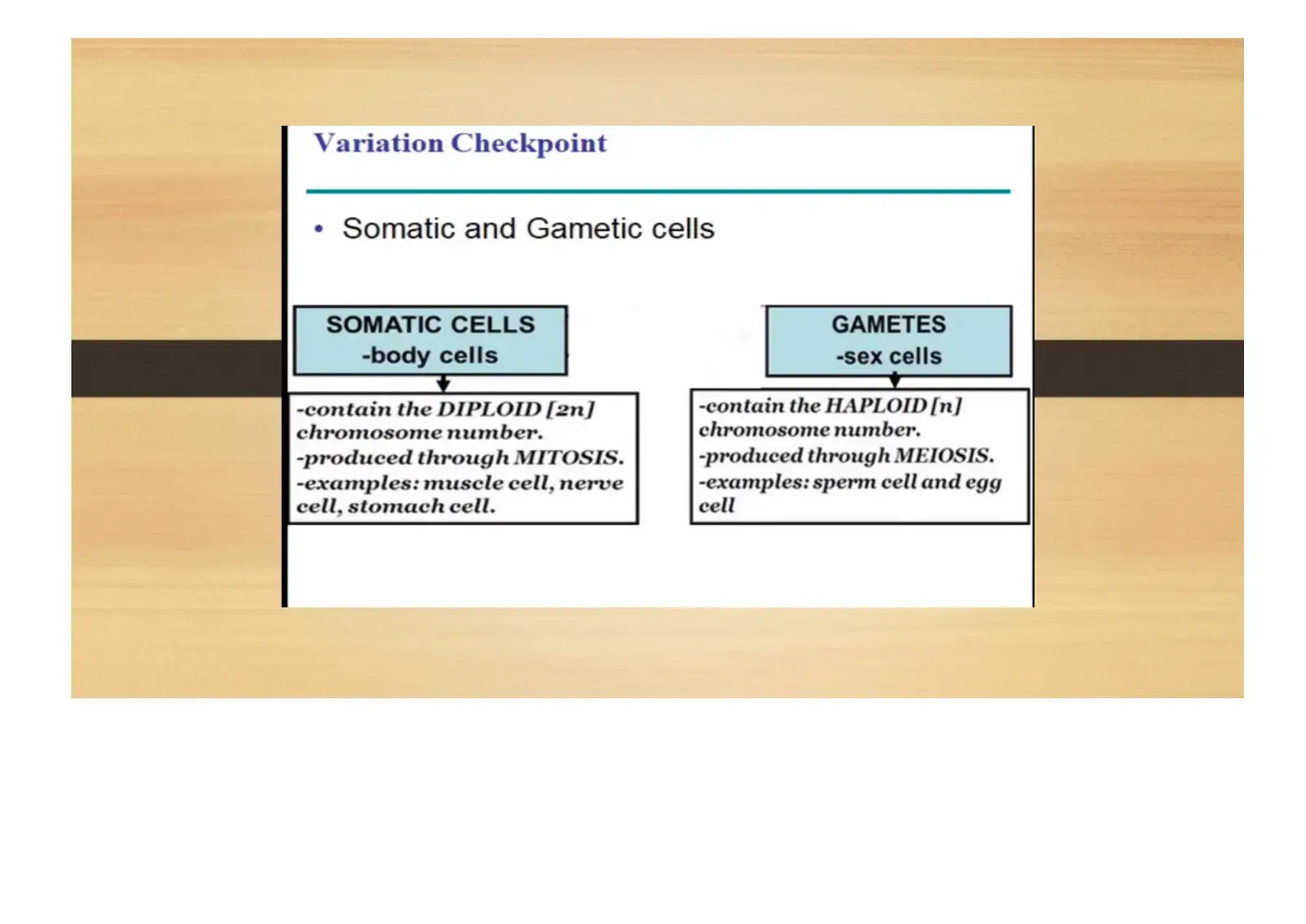 غلاف كتاب Variation Checkpoint - Somatic and Gametic Cells