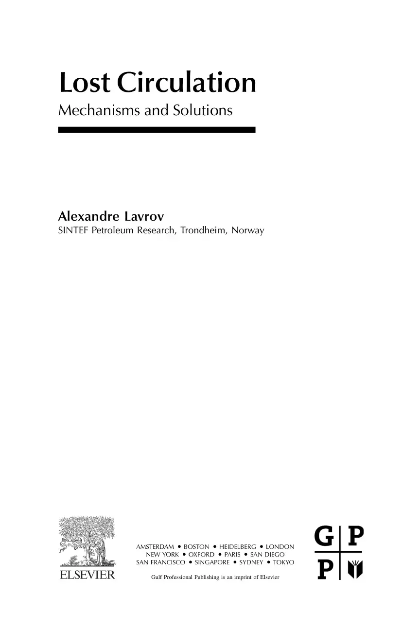 غلاف كتاب Lost Circulation Mechanisms and Solutions