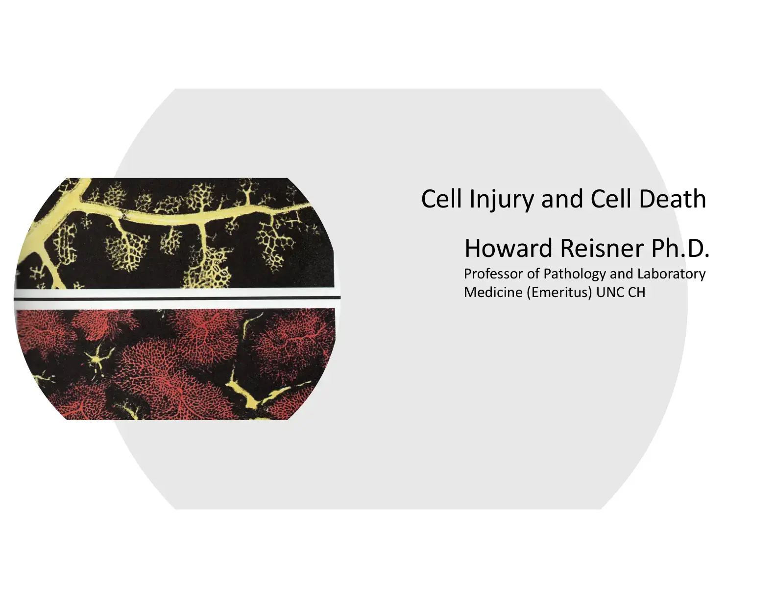 غلاف كتاب Cell Injury and Cell Death
