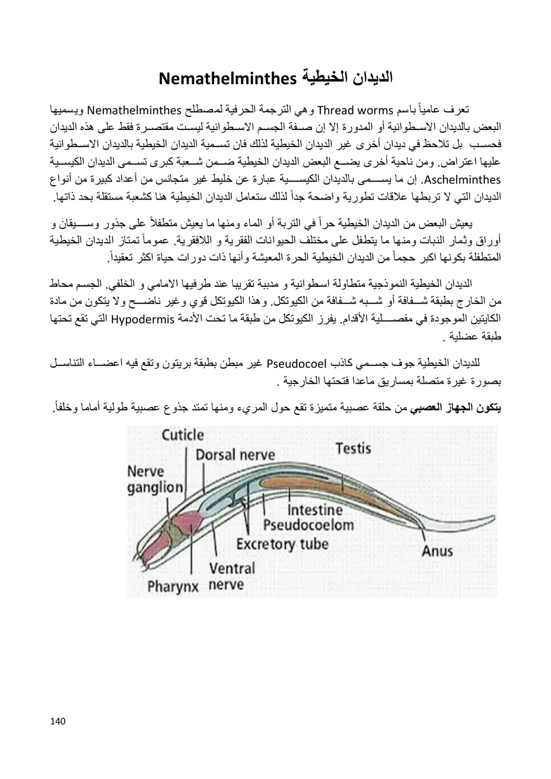 غلاف كتاب الديدان الخيطية Nemathelminthes