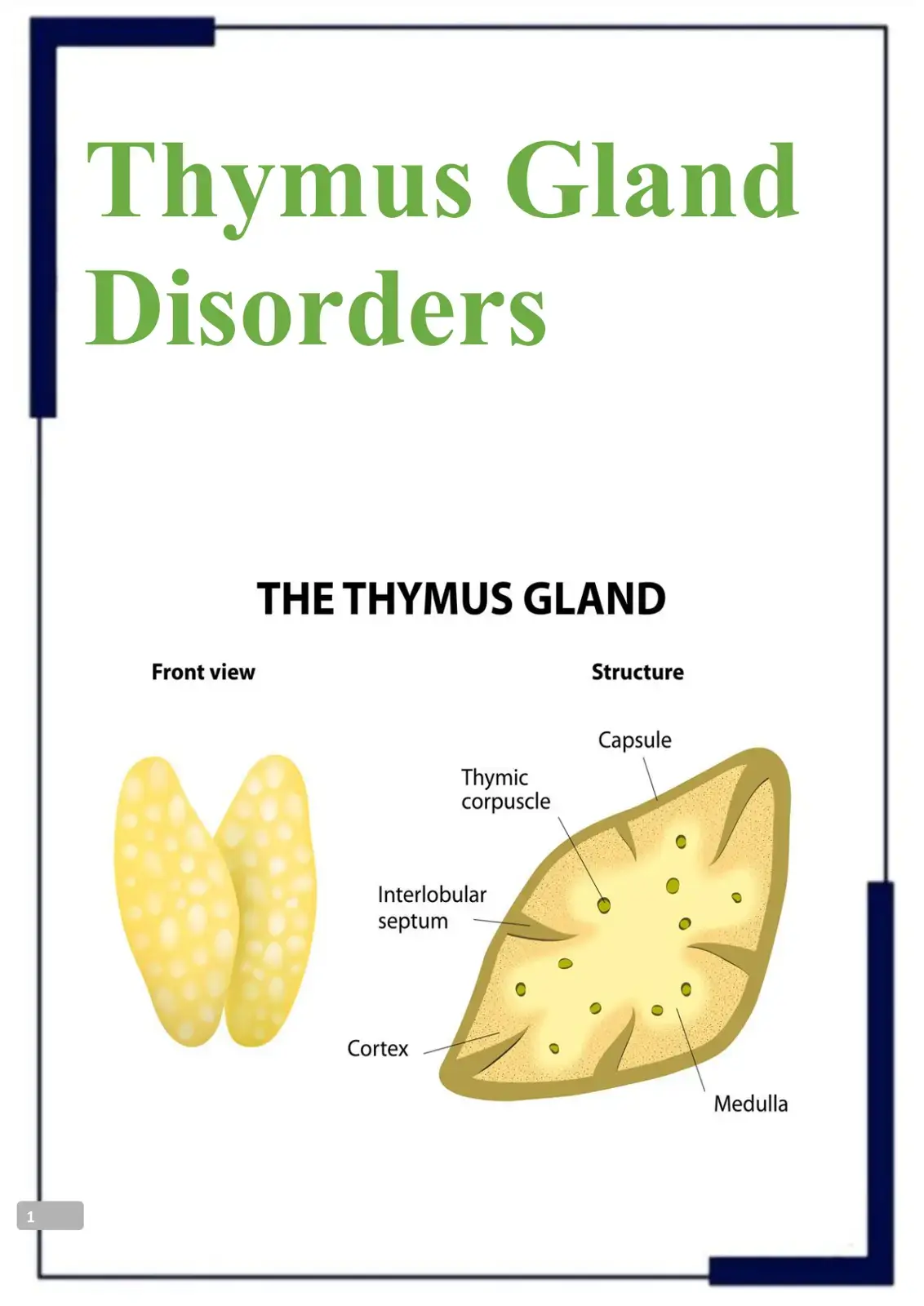غلاف كتاب Thymus Gland Disorders