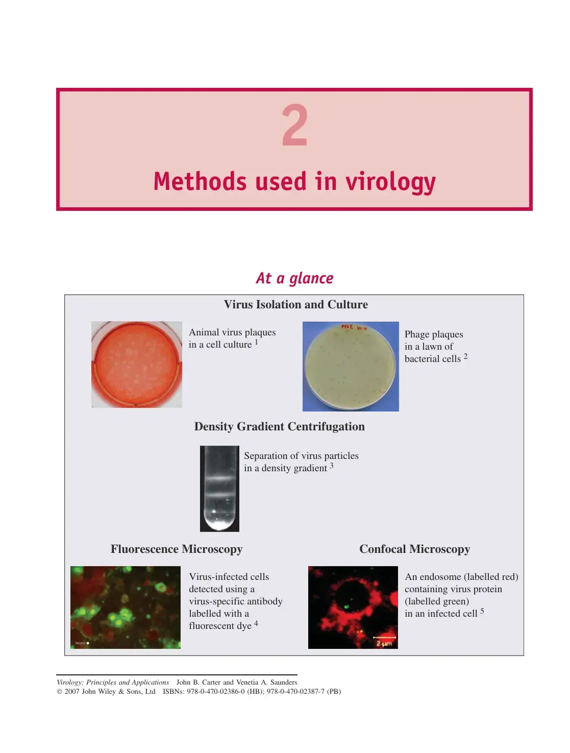 غلاف كتاب Virology: Principles and Applications