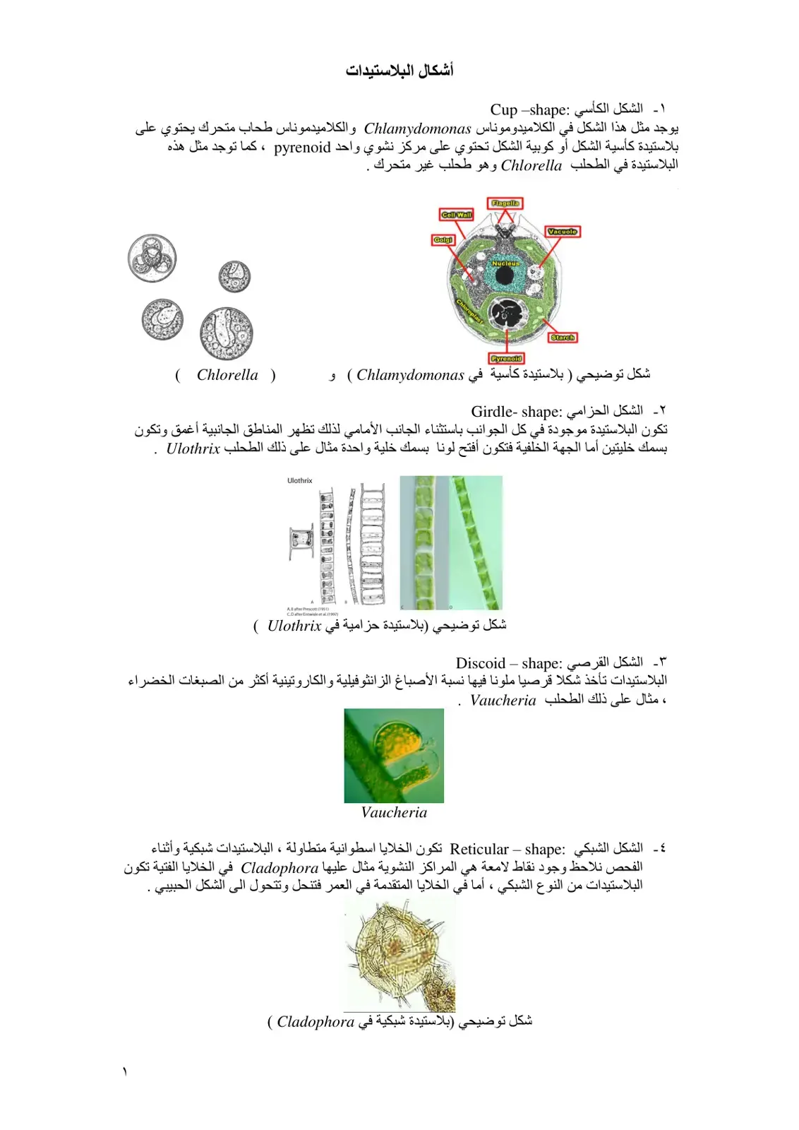 غلاف كتاب أشكال البلاستيدات