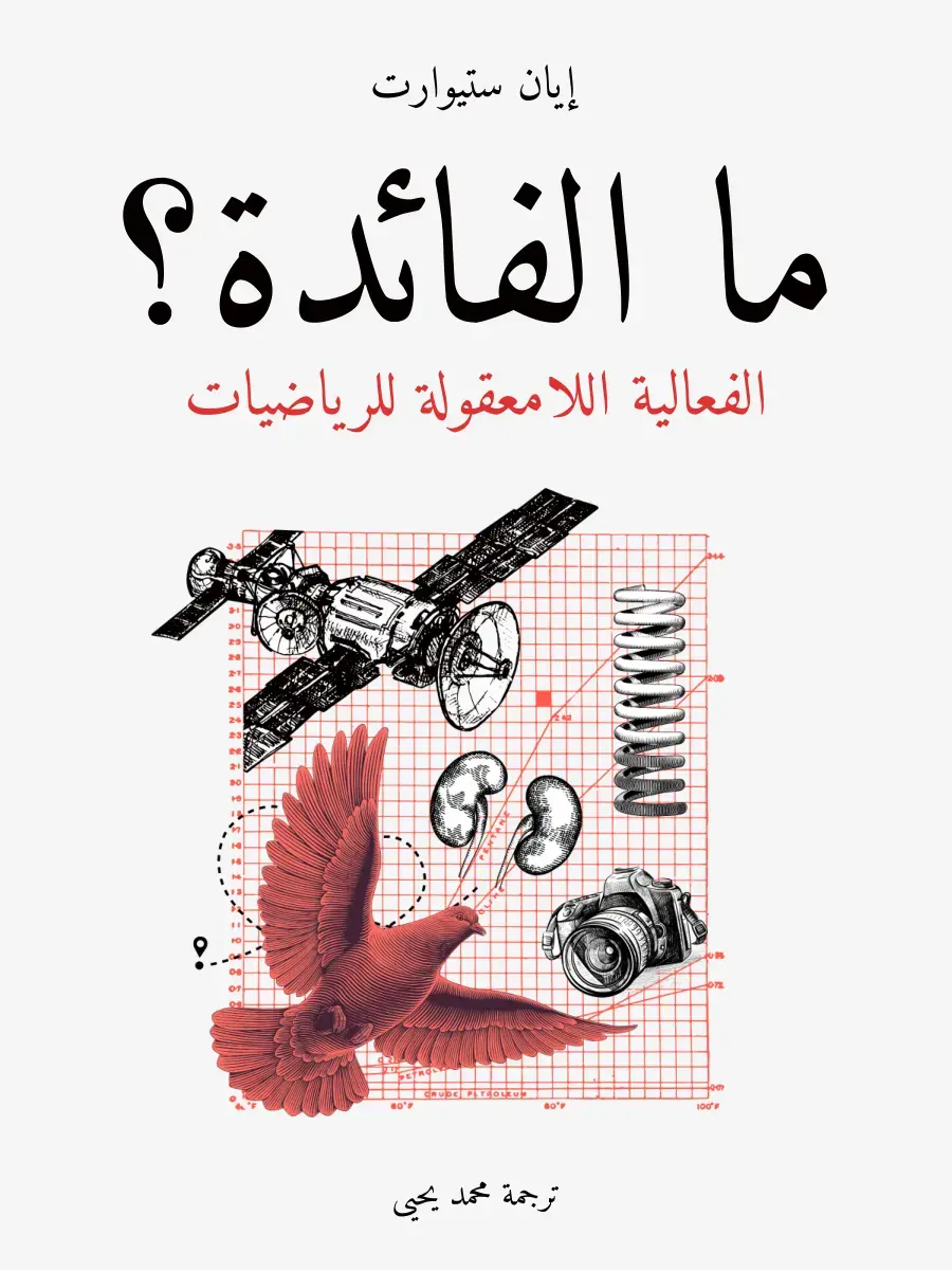 غلاف كتاب ما الفائدة؟: الفعالية اللامعقولة للرياضيات