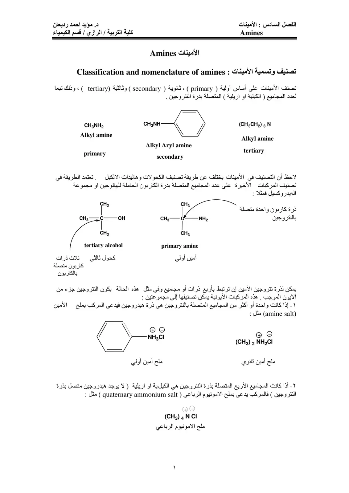 غلاف كتاب الفصل السادس : الأمينات