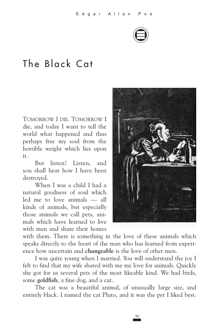 غلاف كتاب The Black Cat