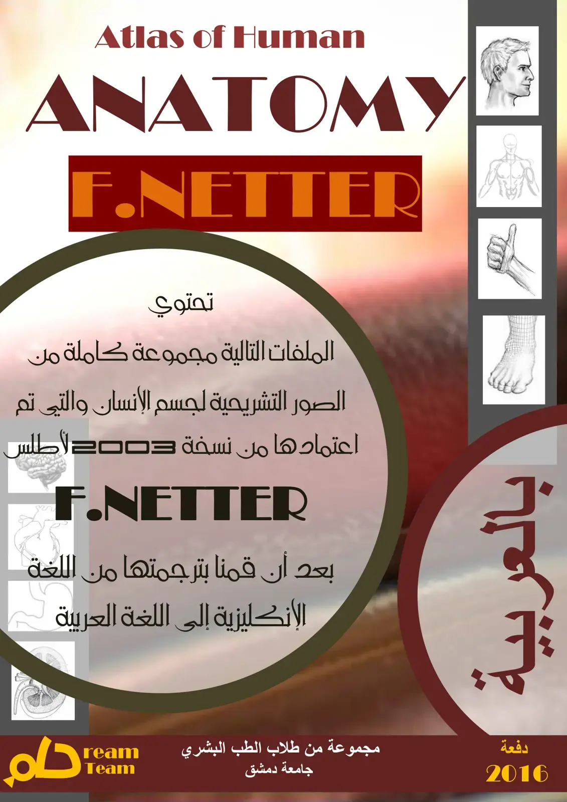 غلاف كتاب Atlas of Human ANATOMY بالعربية F.NETTER