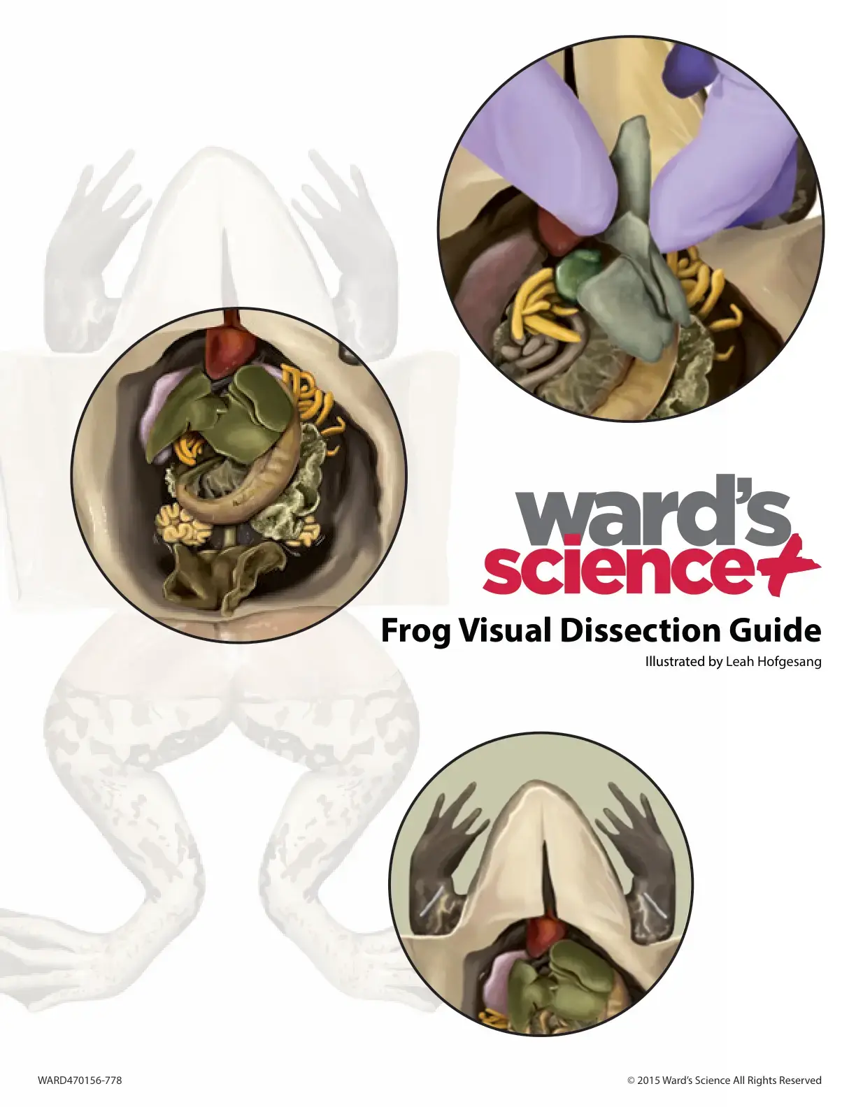 غلاف كتاب Frog Visual Dissection Guide