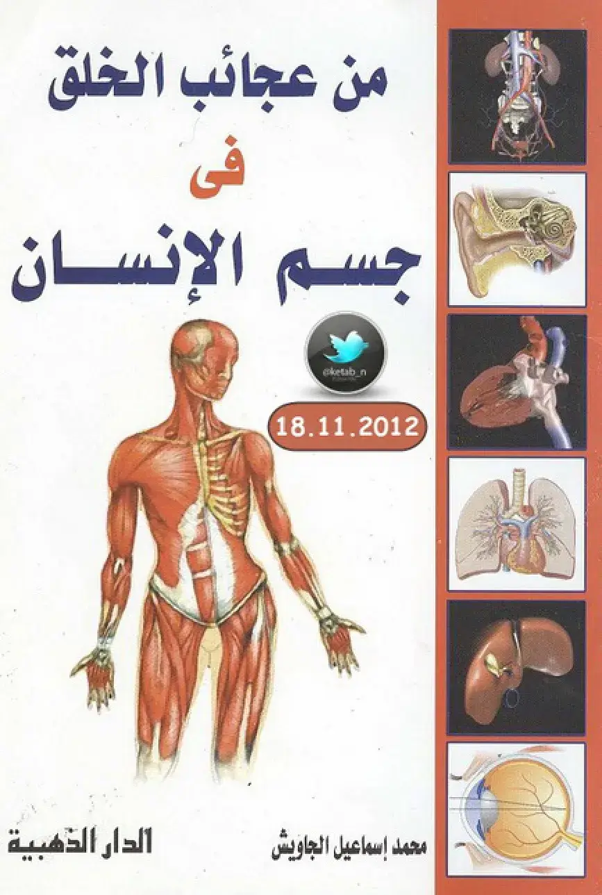 غلاف كتاب من عجائب الخلق في جسم الإنسان