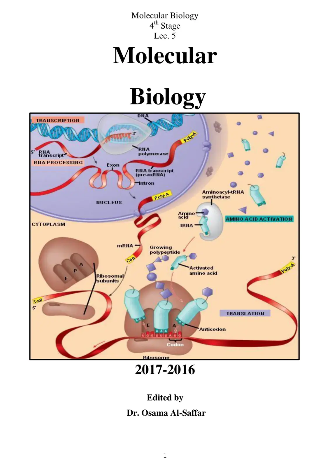 غلاف كتاب Molecular Biology