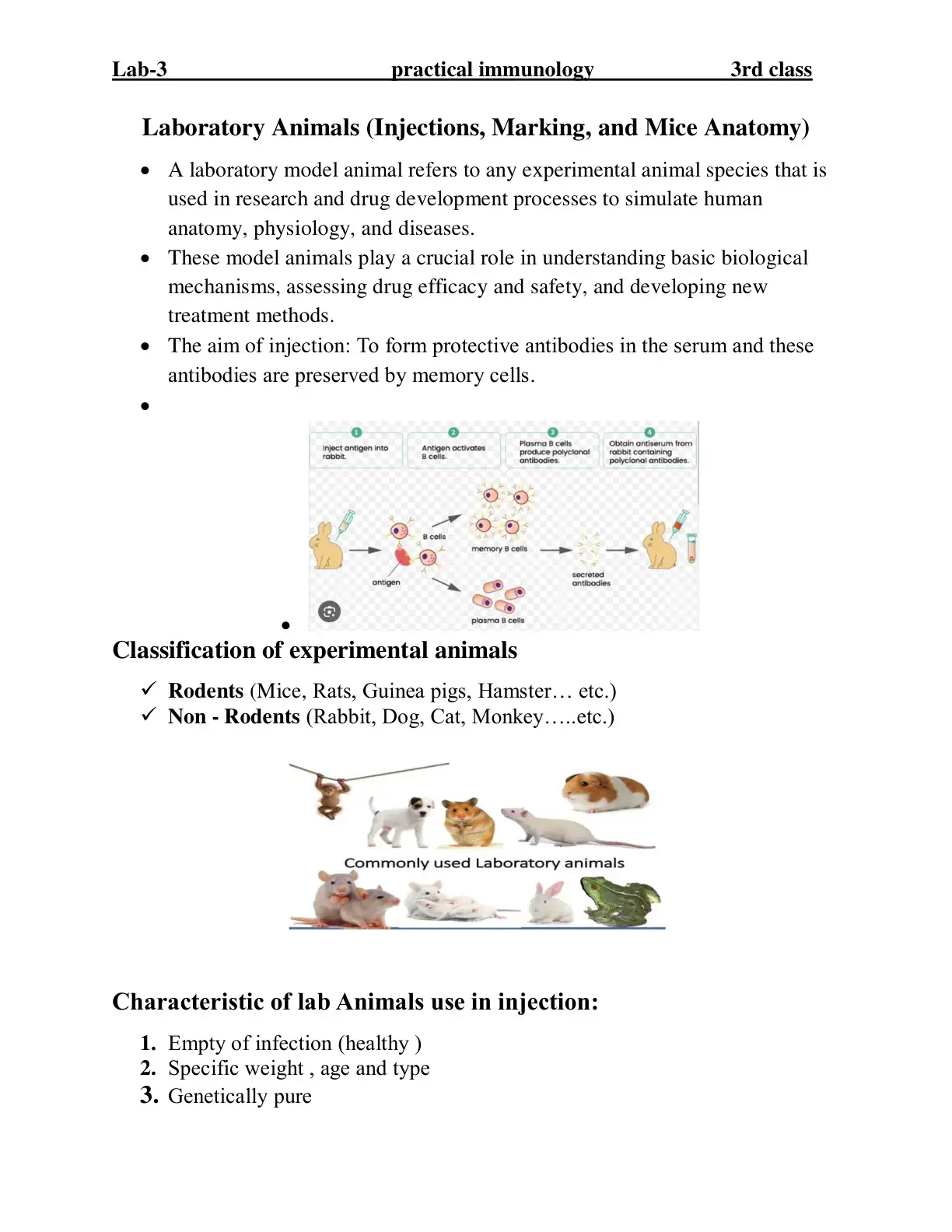 غلاف كتاب Lab-3 practical immunology 3rd class