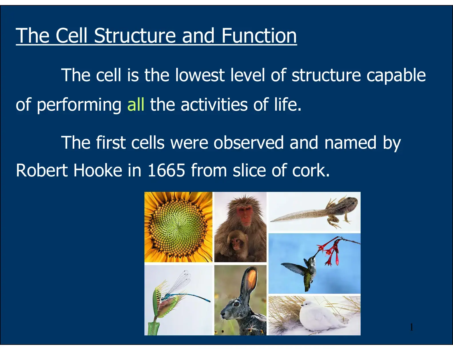 غلاف كتاب The Cell Structure and Function