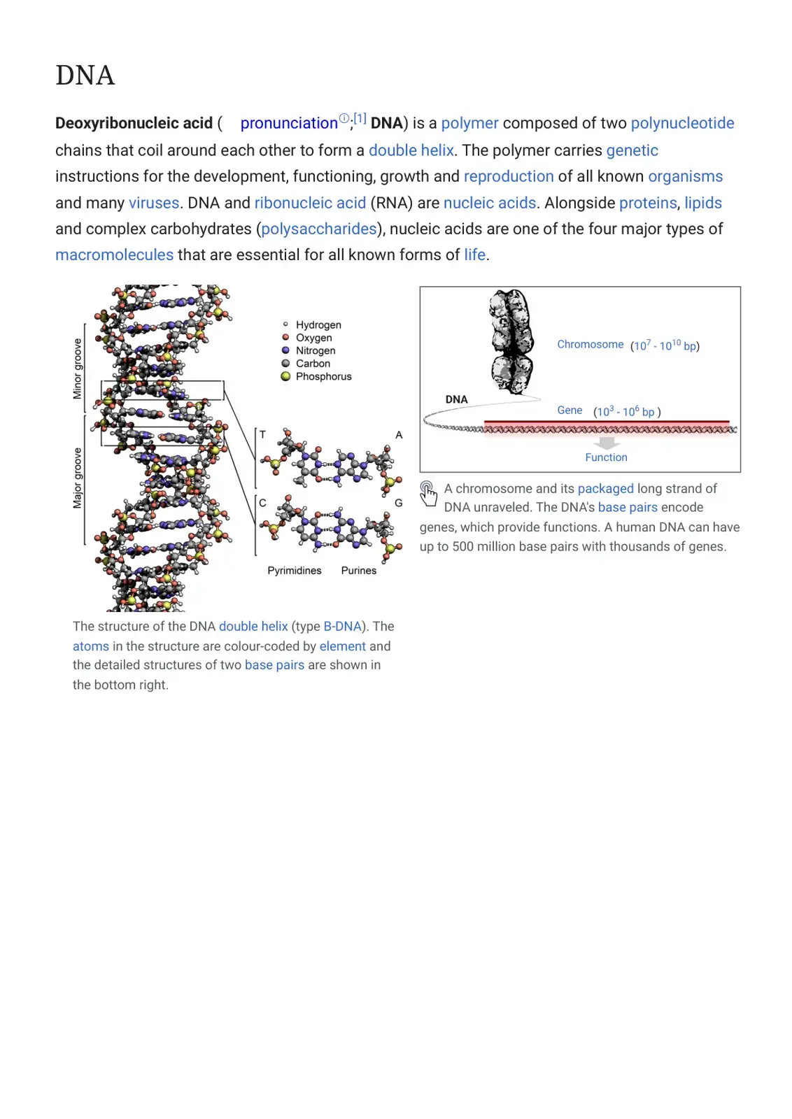 غلاف كتاب DNA