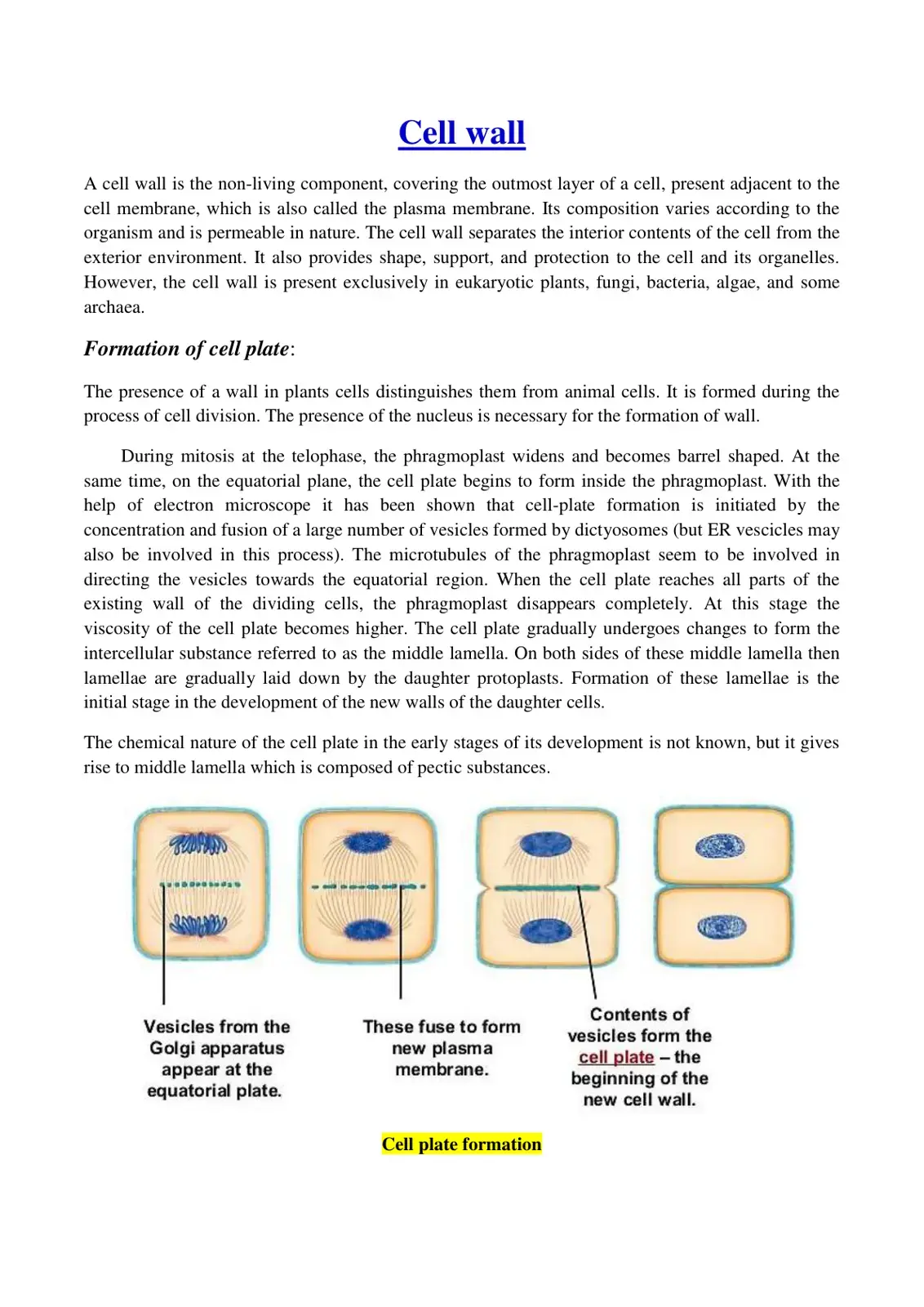 غلاف كتاب Cell Wall