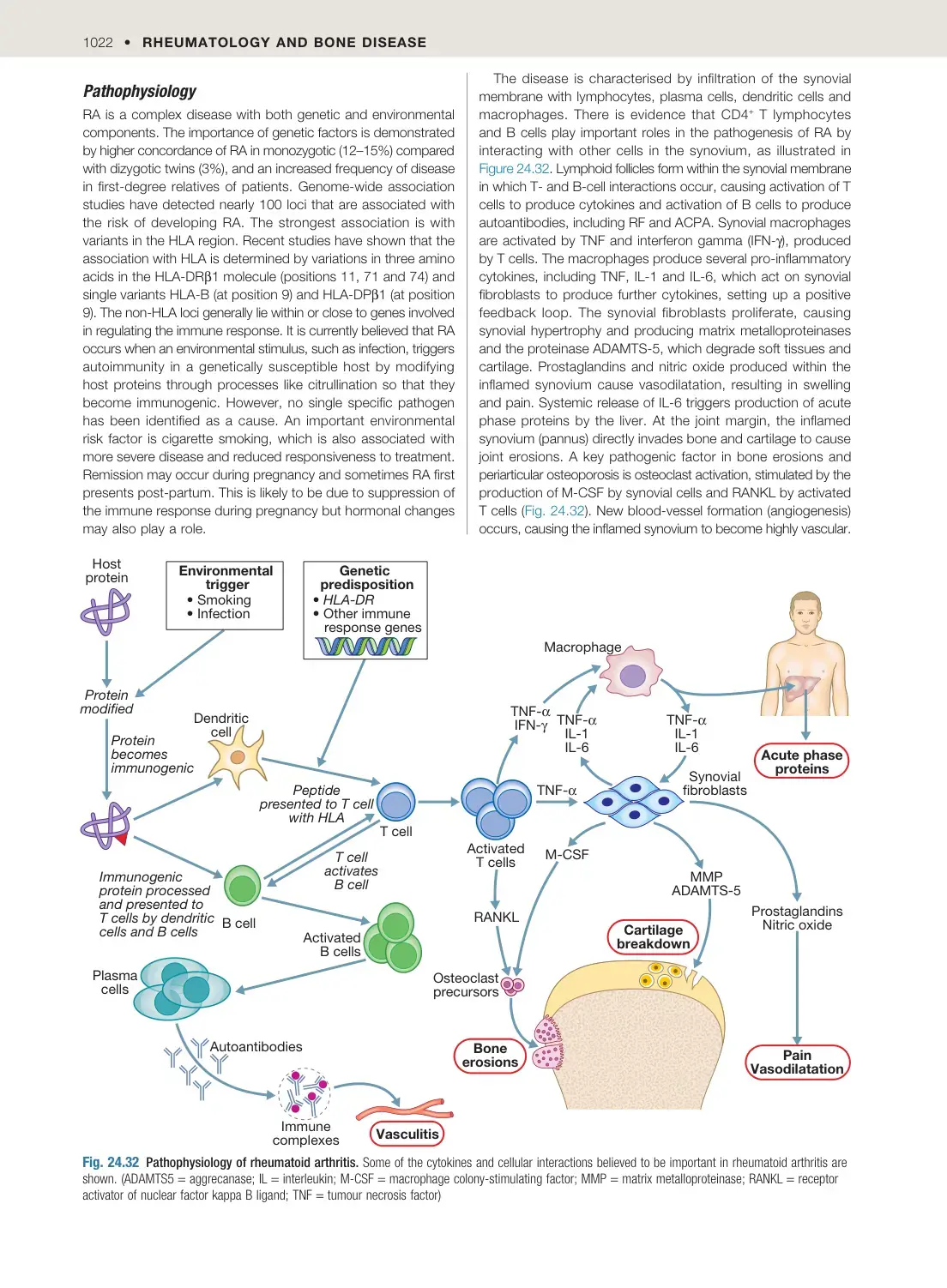 غلاف كتاب Rheumatology and Bone Disease - Pathophysiology