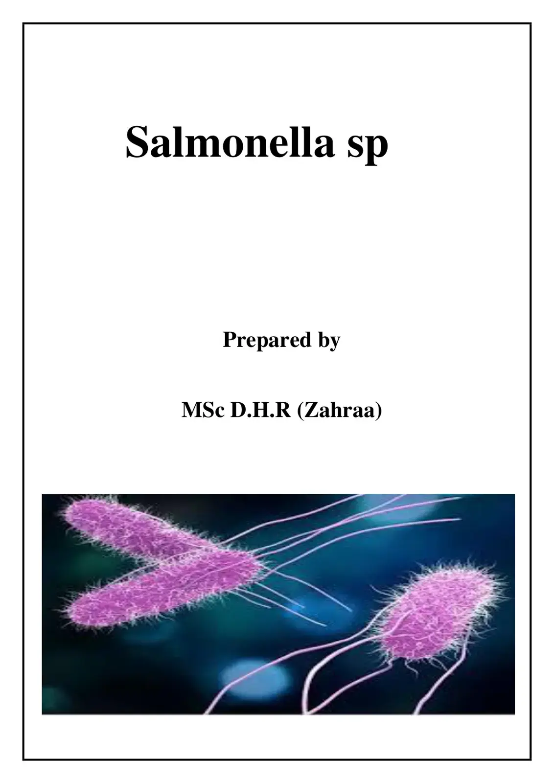غلاف كتاب Salmonella sp