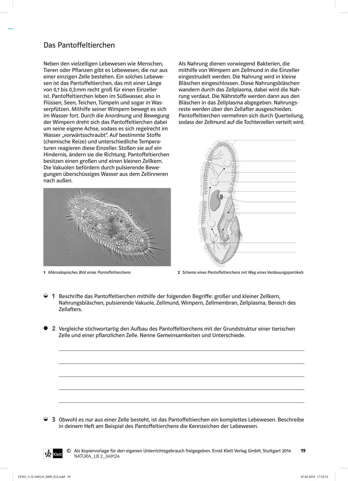 غلاف كتاب Das Pantoffeltierchen