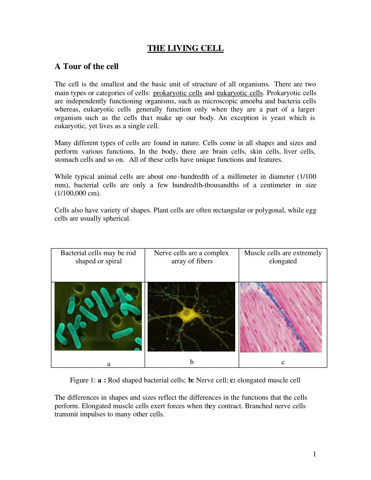 غلاف كتاب A Tour of the cell