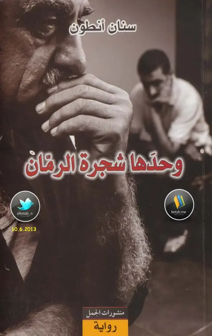 غلاف كتاب وحدها شجرة الرمان