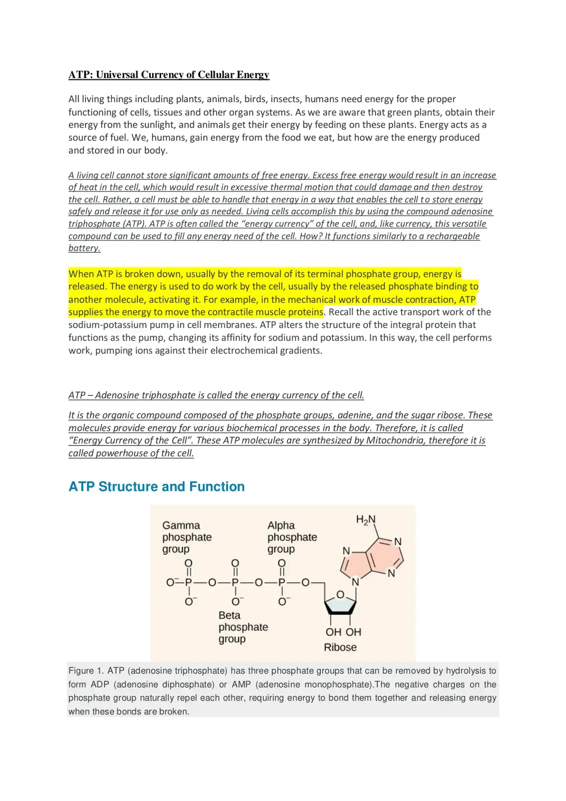 غلاف كتاب ATP: Universal Currency of Cellular Energy