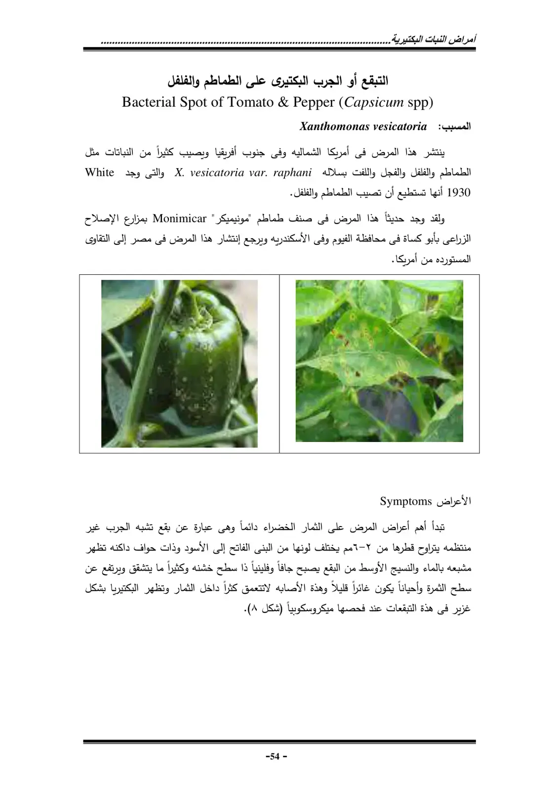 غلاف كتاب أمراض النبات البكتيرية - التبقع البكتيري على الطماطم والفلفل