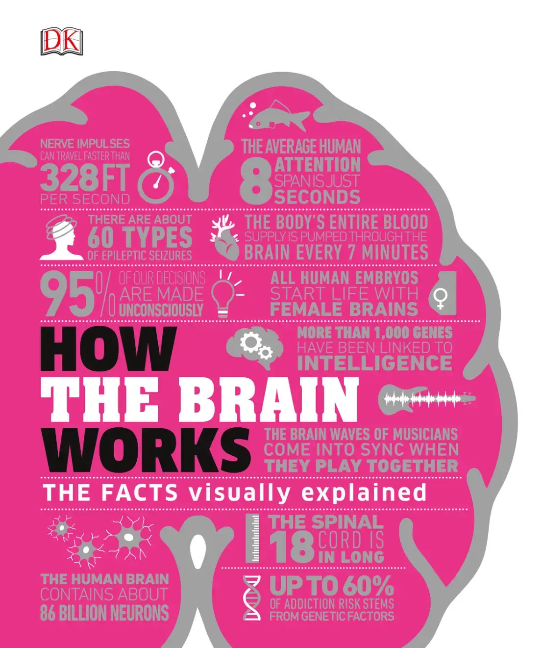 غلاف كتاب How the Brain Works
