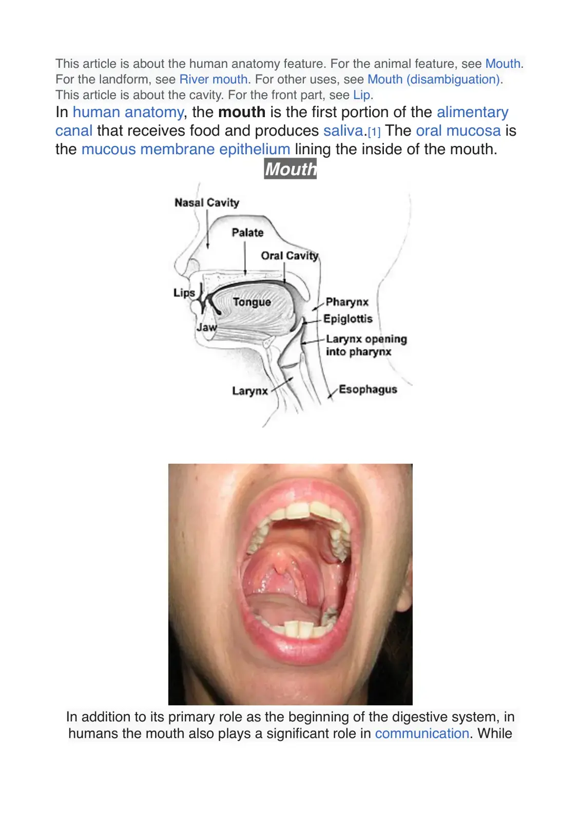 غلاف كتاب Mouth